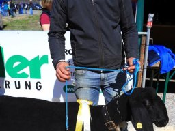 2019_ausstellung polling_376